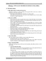 ĐỒ ÁN MEMBRANE BIOREACTORs (MBRs)