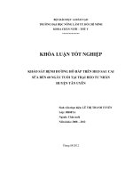 KHẢO SÁT BỆNH ĐƯỜNG HÔ HẤP TRÊN HEO SAU CAI SỮA ĐẾN 60 NGÀY TUỔI TẠI TRẠI HEO TƯ NHÂN HUYỆN TÂN UYÊN