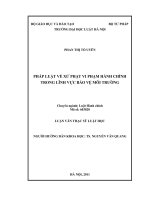 Pháp luật về xử phạt vi phạm hành chính trong lĩnh vực bảo vệ môi trường  