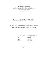 KHẢO SÁT HOẠT TÍNH KHÁNG KHUẨN CỦA MỘT SỐ LOẠI THẢO DƯỢC TRÊN VI KHUẨN E. COLI