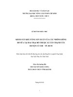 KHẢO SÁT KHẢ NĂNG SẢN XUẤT CỦA CÁC NHÓM GIỐNG BÒ SỮA TẠI HAI TRẠI BÒ THUỘC XÃ TÂN THẠNH TÂY HUYỆN CỦ CHI – TP. HCM