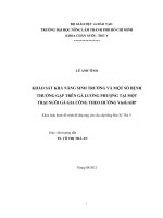 KHẢO SÁT KHẢ NĂNG SINH TRƯỞNG VÀ MỘT SỐ BỆNH THƯỜNG GẶP TRÊN GÀ LƯƠNG PHƯỢNG TẠI MỘT TRẠI NUÔI GÀ GIA CÔNG THEO HƯỚNG VietGAHP