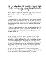 Bài văn mẫu phân tích tác phẩm nguyễn đình chiểu