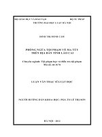 Phòng ngừa tội phạm về ma tuý trên địa bàn tỉnh lào cai  