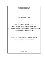 Phát triển nhân lực của Ngân hàng nông nghiệp và phát triển nông thôn - Chi nhánh Lạng Giang, Bắc Giang