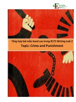 Tổng hợp bài mẫu band cao trong IELTS Writing task 2 - Topic Crime and Punishment