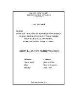 Đánh giá tiềm năng sử dụng đất nông nghiệp và định hướng sử dụng đất nông nghiệp trên địa bàn xã Cao Chương  huyện Trà Lĩnh  tỉnh Cao Bằng (Khóa luận tốt nghiệp)
