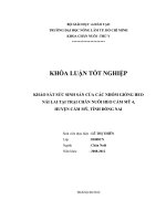 KHẢO SÁT SỨC SINH SẢN CỦA CÁC NHÓM GIỐNG HEO NÁI LAI TẠI TRẠI CHĂN NUÔI HEO CẨM MỸ 4, HUYỆN CẨM MỸ, TỈNH ĐỒNG NAI