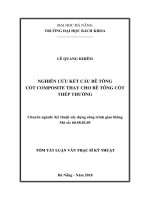 Nghiên cứu kết cấu bê tông cốt composite thay cho bê thông cốt thép thường