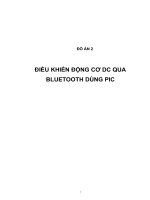 ĐIỀU KHIỂN ĐỘNG cơ DC QUA BLUETOOTH DÙNG PIC (có code và layout)