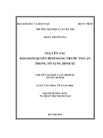 Nguyên tắc bảo đảm quyền bình đẳng trước toà án trong tố tụng hình sự  