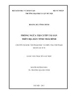 Phòng ngừa tội cướp tài sản trên địa bàn tỉnh thái bình  