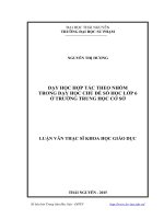 Dạy học hợp tác theo nhóm trong dạy học chủ đề số học lớp 6 ở trường Trung học Cơ sở (Luận văn thạc sĩ)