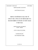 Những vấn đề pháp lý đặc thù về công ty mẹ   công ty con trong khu vực doanh nghiệp có vốn đầu tư nước ngoài ở việt nam  