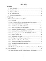 Tiểu luận: Thực trạng và biện pháp nâng cao chất lượng công tác Đội – Sao nhi đồng – Phong trào thiếu nhi tại trường Tiểu học Phan Văn Trị – Quận Bình Thạnh