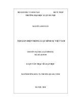 Tội gián điệp trong luật hình sự việt nam  