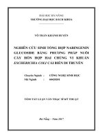Nghiên cứu sinh tổng hợp naringenin glucoside bằng phương phương nuôi cấy hỗn hợp hai chủng vi khuẩn escherichia coli cải biến di truyền