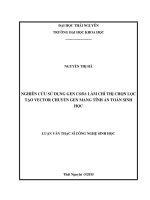 Nghiên cứu sử dụng gen Coda làm chỉ thị chọn lọc tạo vector chuyển gen mang tính an toàn sinh học (Luận văn thạc sĩ)
