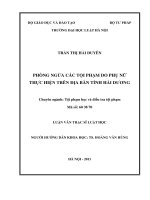 Phòng ngừa các tội phạm do phụ nữ thực hiện trên địa bàn tỉnh hải dương  