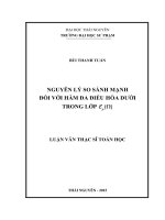 Nguyên lý so sánh mạnh đối với hàm đa điều hòa dưới trong lớp (Luận văn thạc sĩ)