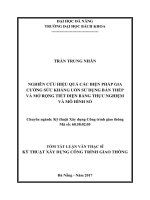 Nghiên cứu hiệu quả các biện pháp gia cường sức kháng uốn sử dụng bản thép và mở rộng tiết diện bằng thực nghiệm và mô hình số