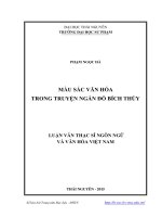 Màu sắc văn hóa trong truyện ngắn Đỗ Bích Thúy (Luận văn thạc sĩ)