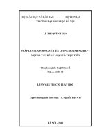 Pháp luật lao động về tiền lương doanh nghiệp   một số vấn đề lý luận và thực tiễn  