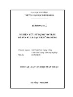 Nghiên cứu sử dụng vỏ trấu để sản xuất gạch không nung