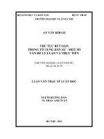 Thủ tục rút gọn trong tố tụng dân sự   một số vấn đề lý luận và thực tiễn  