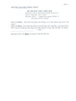 Đề thi và đáp án môn Lịch sử Việt Nam cổ trung