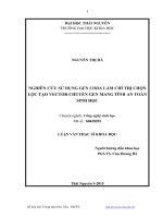 Nghiên cứu sử dụng gen Coda làm chỉ thị chọn lọc tạo vector chuyển gen mang tính an toàn sinh học (Luận văn thạc sĩ)