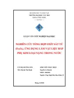 LUẬN văn CÔNG NGHỆ hóa NGHIÊN cứu TỔNG hợp OXÍT sắt từ (fe 3o4 ), ỨNG DỤNG làm vật LIỆU hấp  PHỤ KIM LOẠI NẶNG TRONG nước 