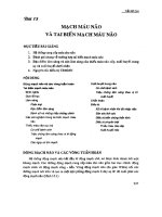 Ebook Thần kinh học: Phần 2  NXB Đại học Quốc gia Thành phố Hồ Chí Minh