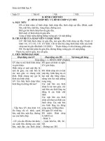 Giáo án Hình học 8 chương 4 bài 7: Hình chóp đều và hình chóp cụt