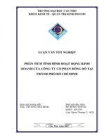 PHÂN TÍCH TÌNH HÌNH HOẠT ĐỘNG KINH DOANH của CÔNG TY cổ PHẦN ĐÔNG đô tại THÀNH PHỐ hồ CHÍ MINH 