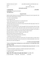 Đề thi học kỳ môn tiếng việt lớp 5