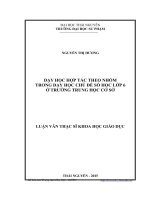 Dạy học hợp tác theo nhóm trong dạy học chủ đề số học lớp 6 ở trường trung học cơ sở (Luận văn thạc sĩ)