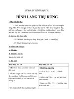 Giáo án Hình học 8 chương 4 bài 4: Hình lăng trụ đứng