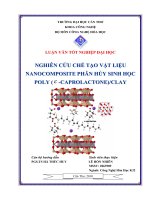 LUẬN văn CÔNG NGHỆ hóa NGHIÊN cứu CHẾ tạo vật LIỆU NANOCOMPOSITE PHÂN hủy SINH học POLY ( e  CAPROLACTONE)   CLAY 