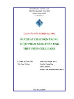 LUẬN văn CÔNG NGHỆ hóa sản XUẤT CHẤT độn TRONG dược PHẨM BẰNG PHẢN ỨNG THỦY PHÂN CELLULOSE 