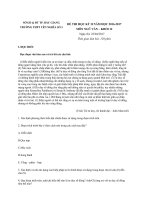 Đề thi ngữ văn lớp 12