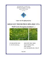 LUẬN văn CÔNG NGHỆ hóa KHẢO sát THÀNH PHẦN hóa học của NGÒ GAI (eryngium foetidum l ) 