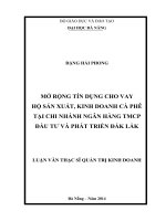 Mở rộng tín dụng cho vay hộ sản xuất, kinh doanh cà phê tại chi nhánh ngân hàng TMCP đầu tư và phát triển đắk lắk