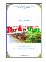 Lập dự án trang trại trồng trọt kết hợp chăn nuôi thái bình 