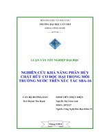 LUẬN văn CÔNG NGHỆ hóa NGHIÊN cứu KHẢ NĂNG PHÂN hủy CHẤT hữu cơ độc hại TRONG môi TRƯỜNG nước TRÊN xúc tác SBA   16 