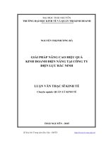 Giải pháp nâng cao hiệu quả kinh doanh điện năng tại công ty điện lực Bắc Ninh (Luận văn thạc sĩ)