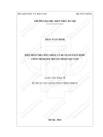 Biện pháp thi công móng và bể ngầm toàn khối công trình đài truyền hình việt nam (tt) 