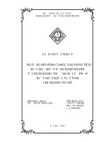 ỨNG DỤNG mô HÌNH CAMEL vào PHÂN TÍCH HIỆU QUẢ HOẠT ĐỘNG KINH DOANH tại NGÂN HÀNG THƯƠNG mại cổ PHẦN XUẤT NHẬP KHẨU VIỆT NAM CHI NHÁNH tây đô 