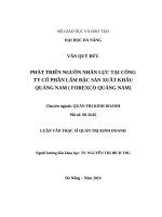 PHÁT TRIỂN NGUỒN NHÂN lực tại CÔNG TY cổ PHẦN lâm đặc sản XUẤT KHẨU QUẢNG NAM ( FOREXCO QUẢNG NAM)