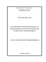 Hạn chế rủi ro tín dụng trong cho vay doanh nghiệp tại ngân hàng thương mại cổ phần việt á chi nhánh hội an
